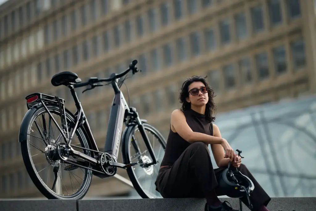 betaalbare elektrische fiets Trek